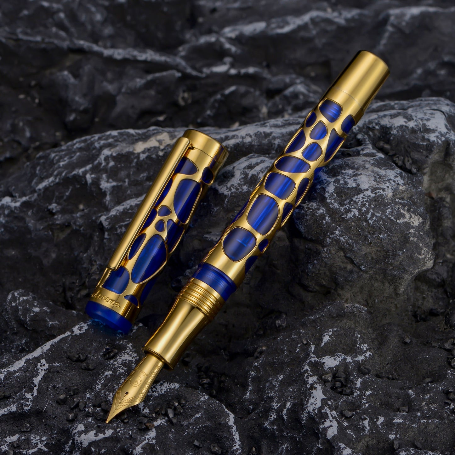 Stylo-plume Asvine V169