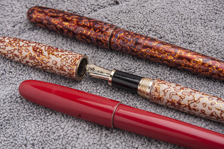 Stylo Plume d'Élégance Édition Spéciale