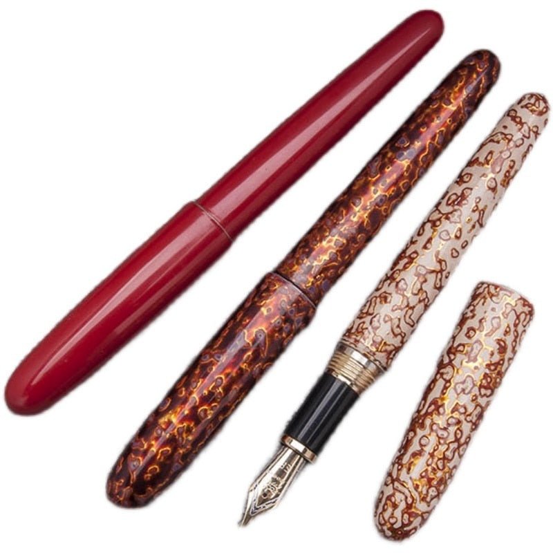 Stylo Plume d'Élégance Édition Spéciale