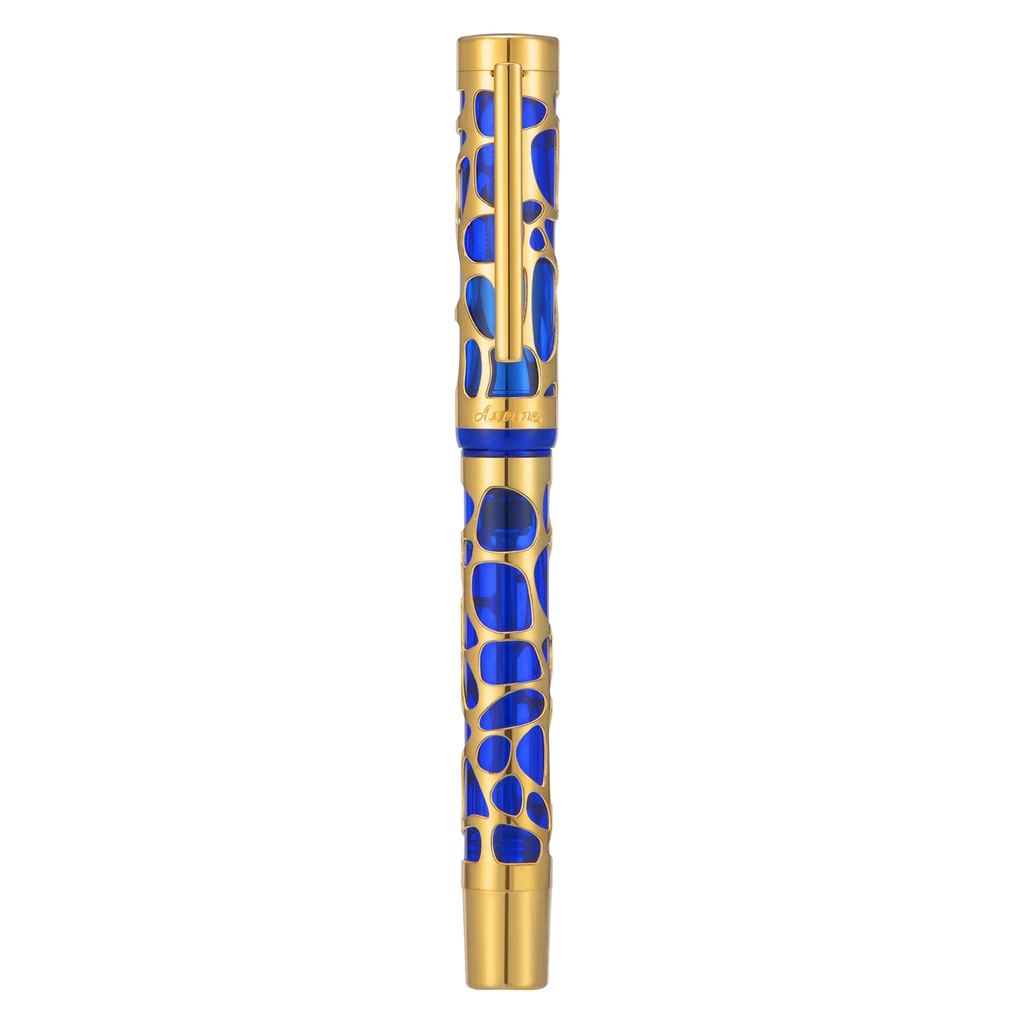 Stylo-plume Asvine V169