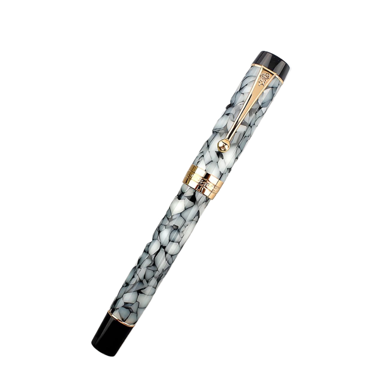 Beau stylo plume