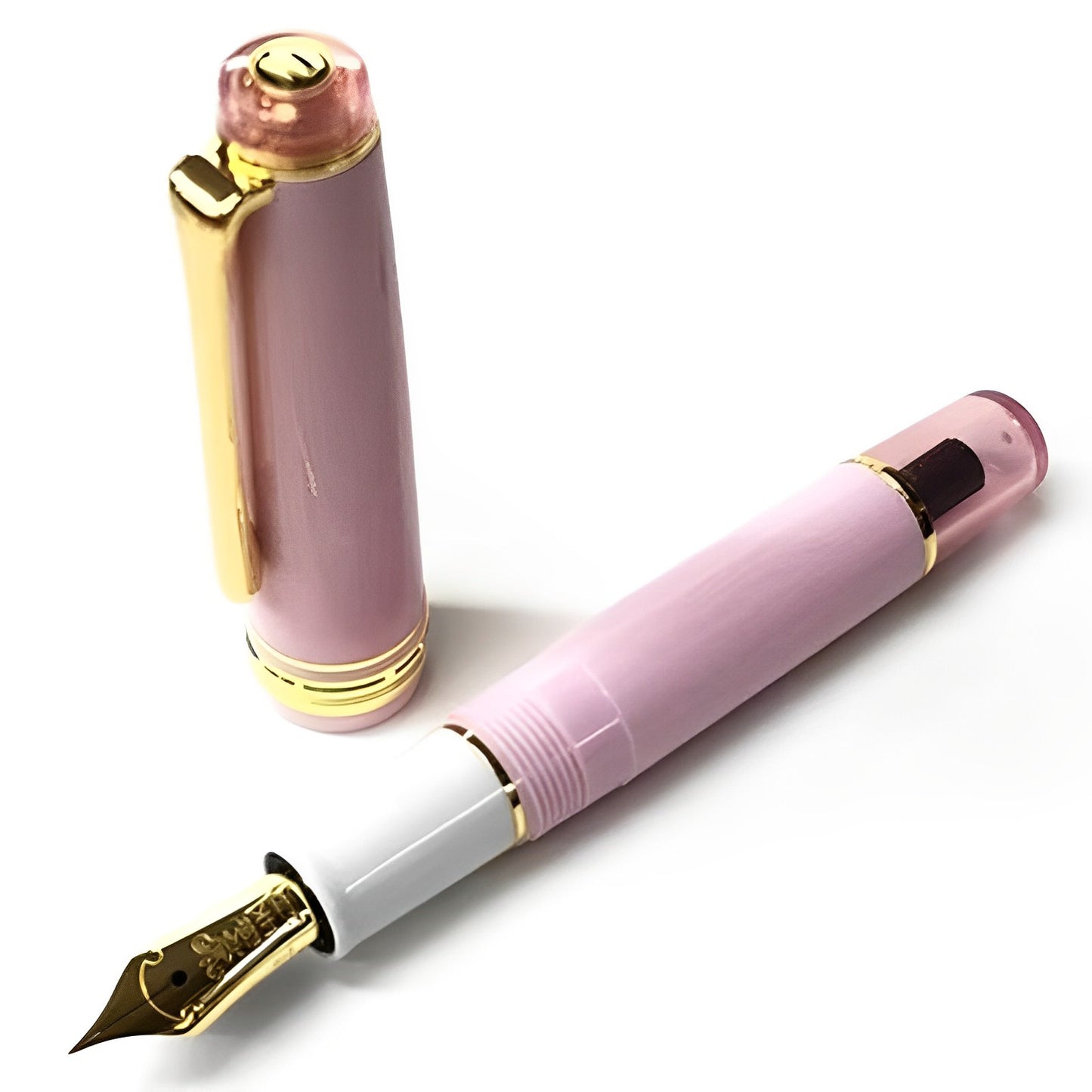 stylo plume pastel