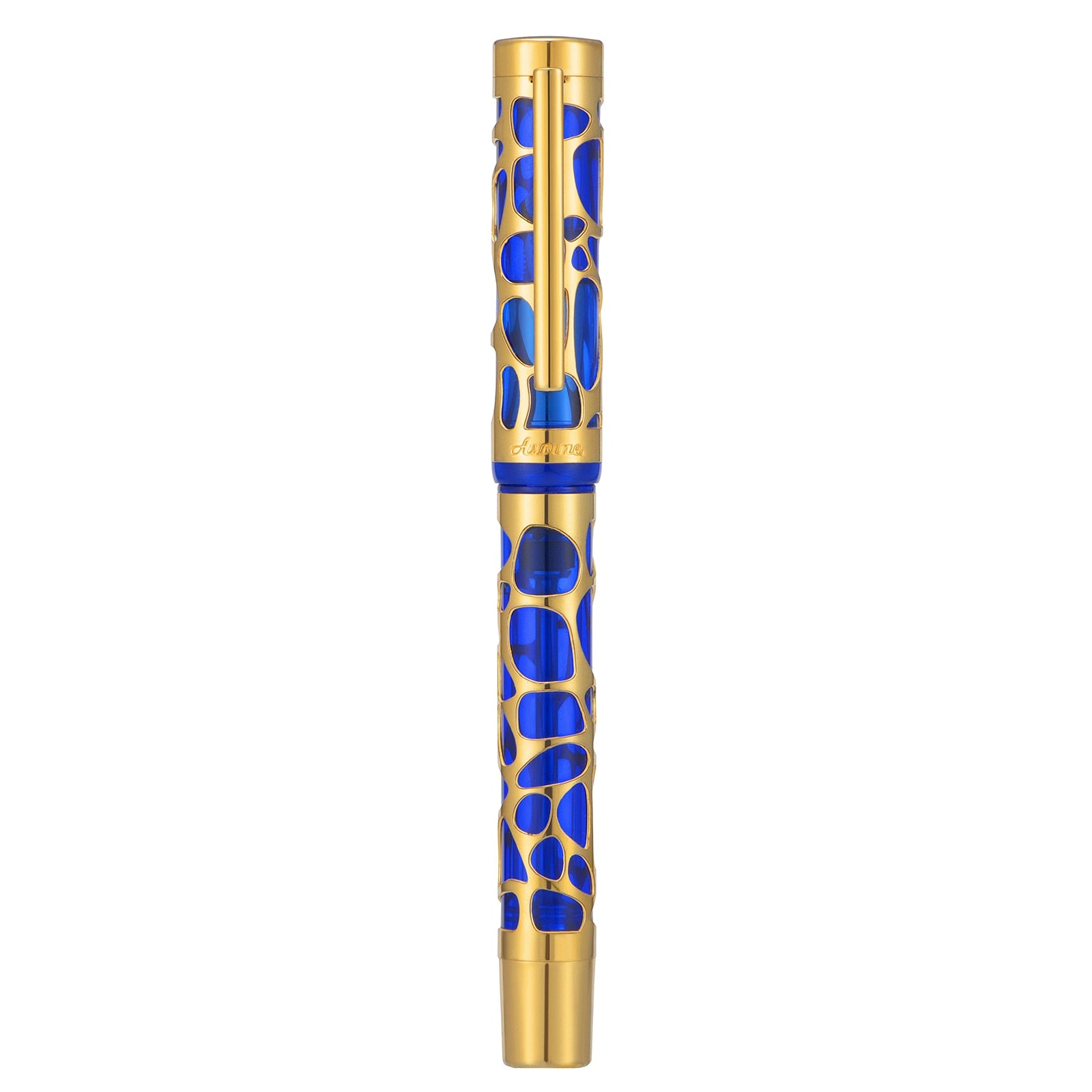 Stylo-plume Asvine V169