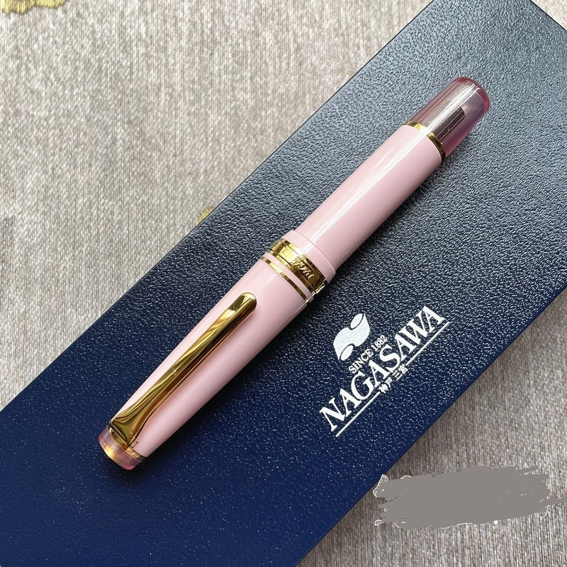 stylo plume pastel